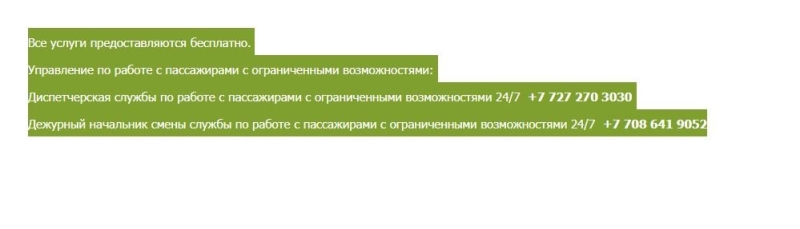 Унижение и риск для жизни: через что прошла в алматинском аэропорту пятилетняя девочка со смертельным диагнозом