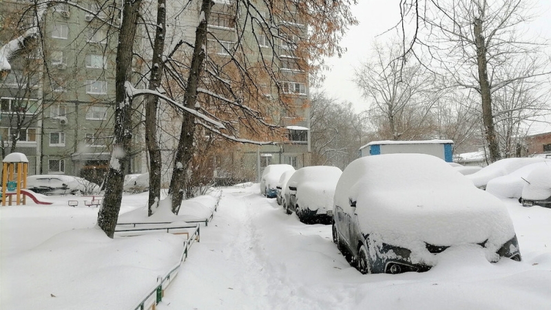 В Москве задержаны казахстанец и узбекистанка, разыскиваемые на родине за мошенничество