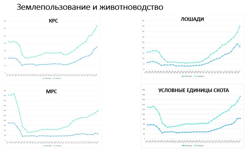 Как сайгаки в Казахстане из сакрального символа степи превратились в подлежащих отстрелу вредителей