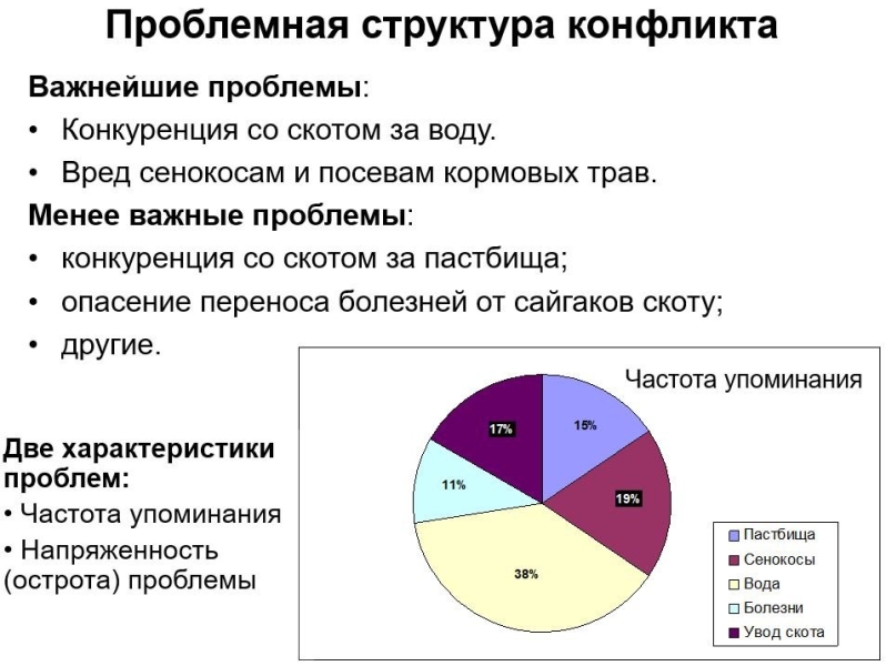 Как сайгаки в Казахстане из сакрального символа степи превратились в подлежащих отстрелу вредителей