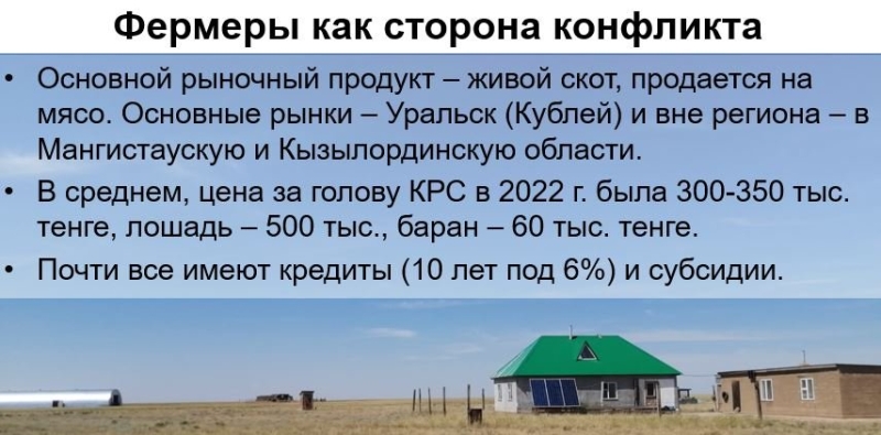 Как сайгаки в Казахстане из сакрального символа степи превратились в подлежащих отстрелу вредителей