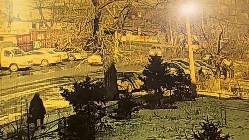 Вызвавшее споры в Сети видео с мужчиной с тростью объяснили в полиции Семея