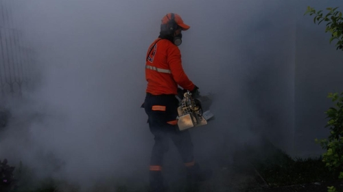 Закрывать на ночь окна призвали жителей Астаны