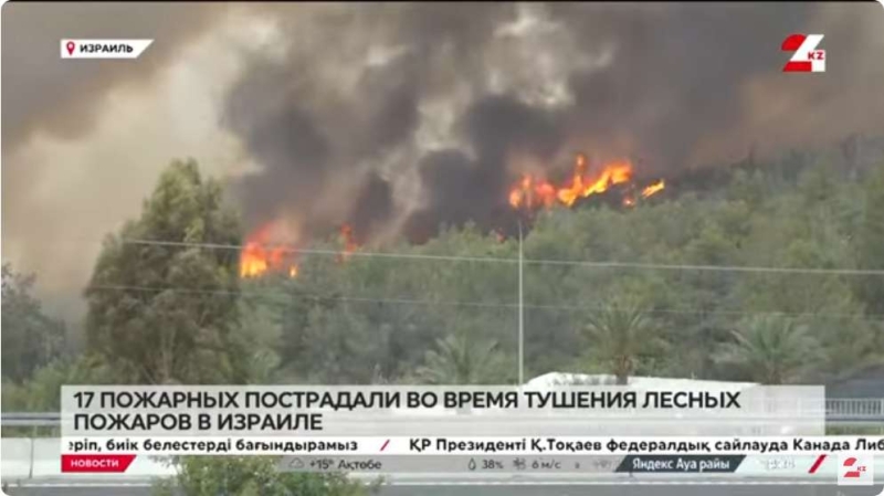 Израиль запросил международную помощь в тушении лесных пожаров