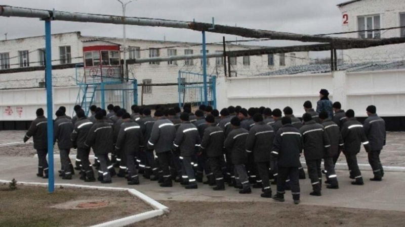 Колония под колпаком: кто крышевал воровской общак и как всё всплыло