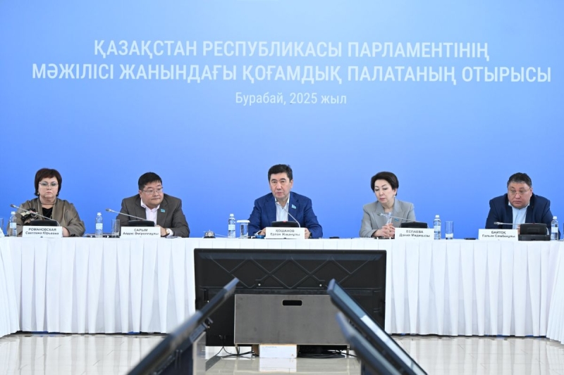 Работу закона о бытовом насилии рассмотрела Общественная палата при Мажилисе