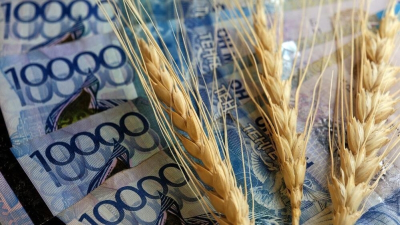 Экспорт казахстанского зерна вырос на 55%