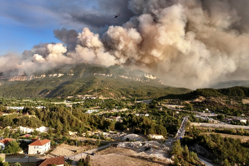 Европа в огне: рекордные лесные пожары уничтожили более 350 тысяч гектаров леса
