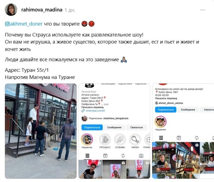 Казахстанцев возмутило использование живого страуса в качестве рекламы донерной в Астане