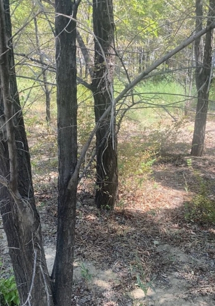 «Оставь себе миллион, остальное нам»: предприниматель из Доссора рассказал о давлении властей