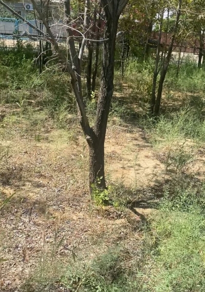 «Оставь себе миллион, остальное нам»: предприниматель из Доссора рассказал о давлении властей