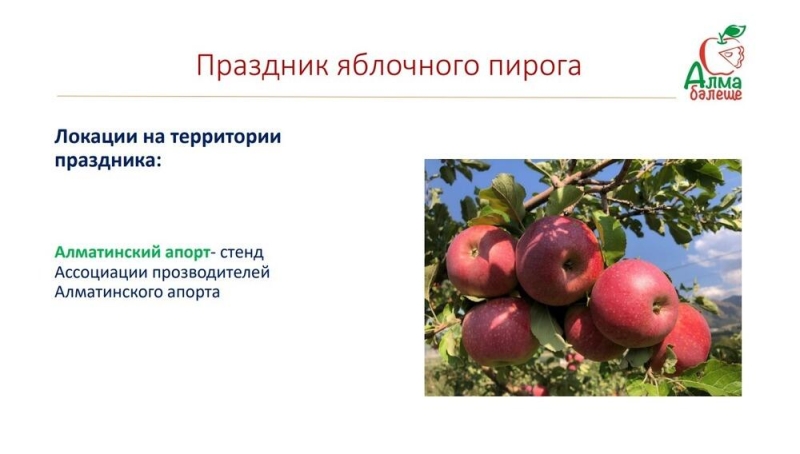 В Алматинской области пройдет праздник яблочного пирога
  