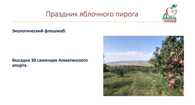 В Алматинской области пройдет праздник яблочного пирога
  