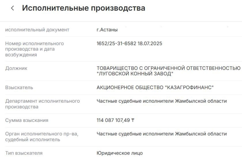 «Бардак» в Когершине: почему приходит в упадок родина легендарного скакуна и при чём здесь Абыкаевы