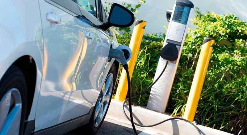 КГД предупредил любителей электромобилей