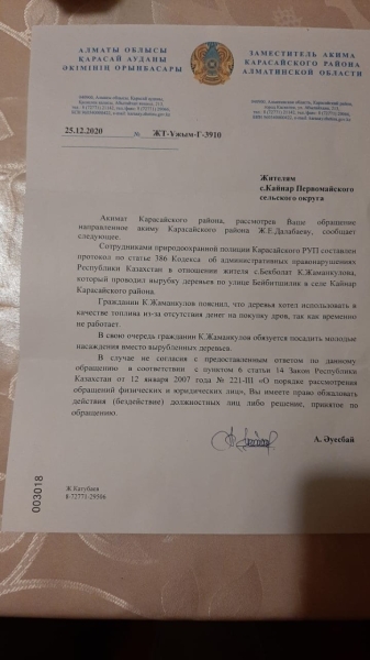 Жители Кайнара против чиновников: как Orda.kz раскрыла незаконные вырубки и земельные махинации