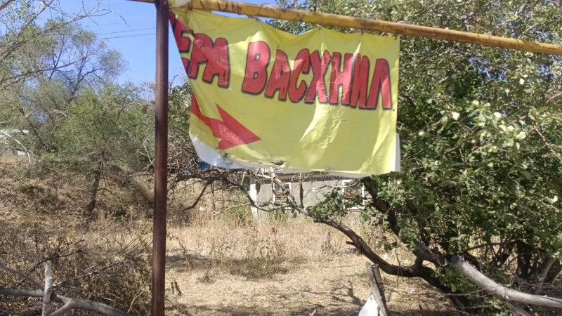 Жители Кайнара против чиновников: как Orda.kz раскрыла незаконные вырубки и земельные махинации