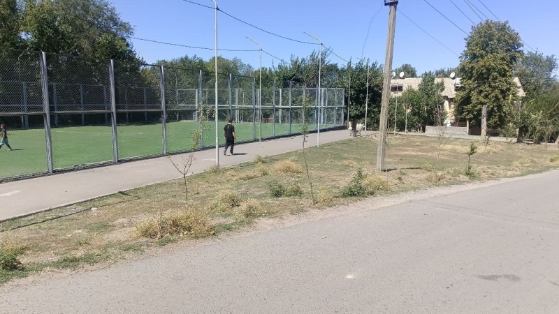 Жители Кайнара против чиновников: как Orda.kz раскрыла незаконные вырубки и земельные махинации