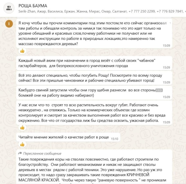 Что собираются сделать с алматинской рощей Баума и почему вокруг неё не утихают скандалы?