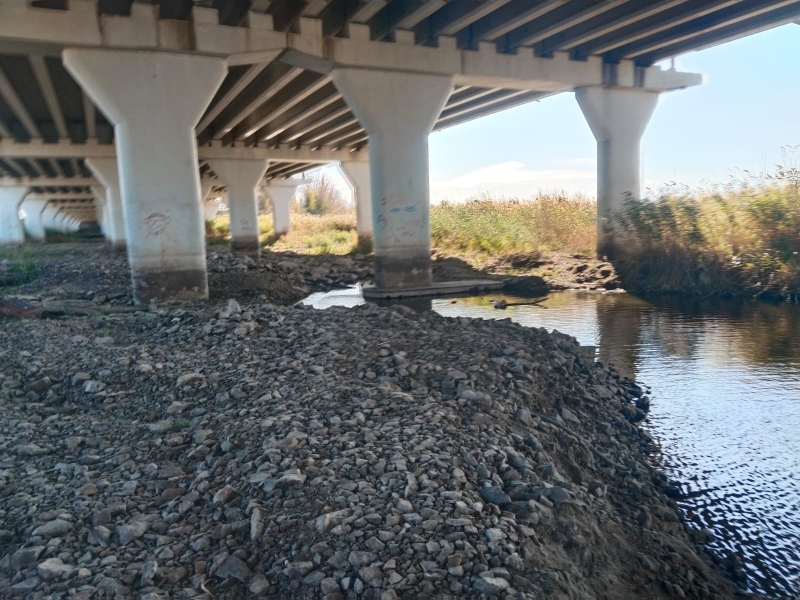 Фермеры собрали вдвое меньше картофеля из-за нехватки воды в Костанае