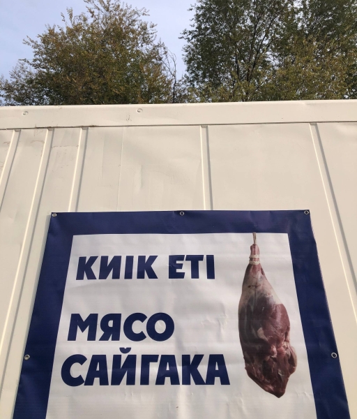 Где в Алматы мясо дешевле и что люди думают о сайгачатине?