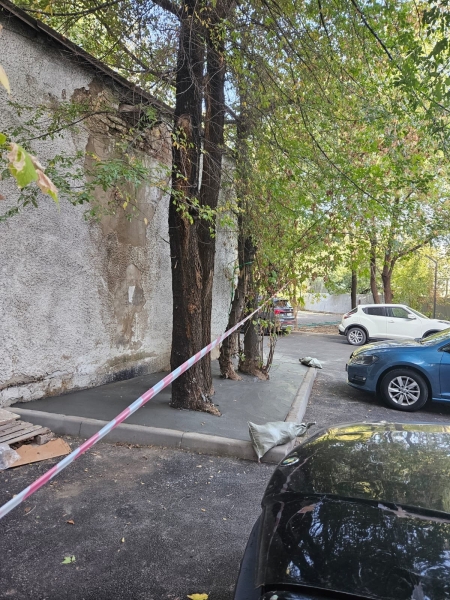 Город-антигубка: зачем Алматы закатывают в асфальт и бетон и почему это опасно?