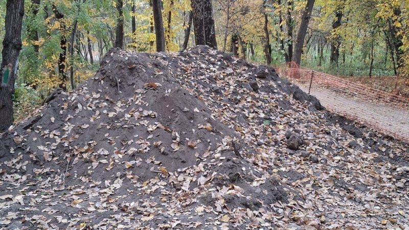 Наносится непоправимый ущерб уникальной природной среде - общественники о строительных работах в роще Баума в Алматы