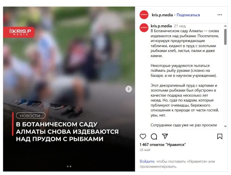 Носорогу дали в глаз: посетители казахстанских зоопарков развлекаются, терроризируя животных