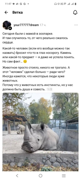 Носорогу дали в глаз: посетители казахстанских зоопарков развлекаются, терроризируя животных