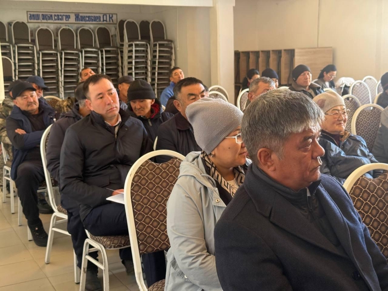 Причина гибели скота в Курчумском районе осталась загадкой