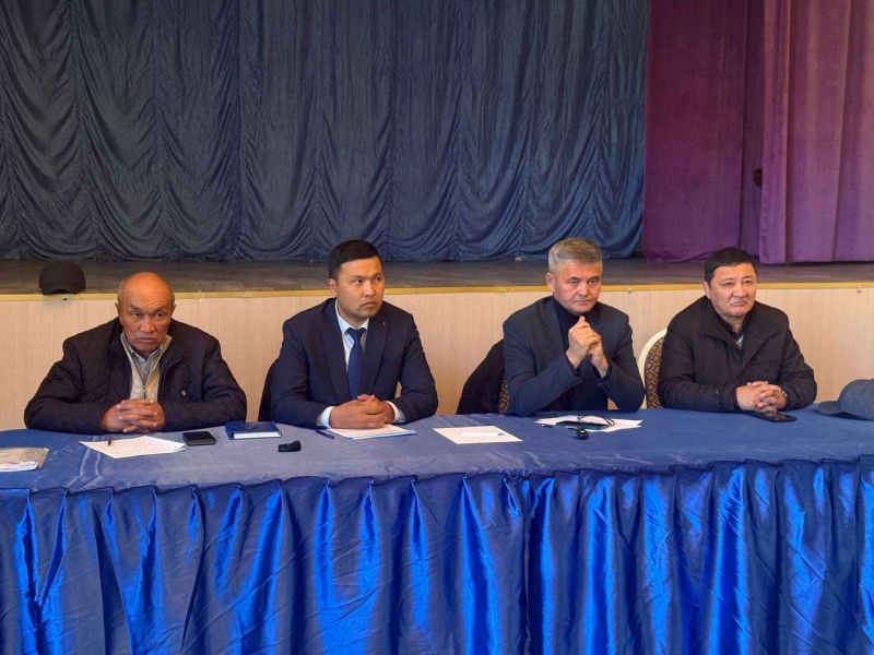 Причина гибели скота в Курчумском районе осталась загадкой