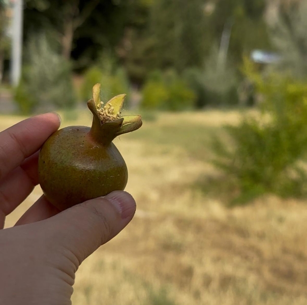 За пловом и природой – в Таджикистан