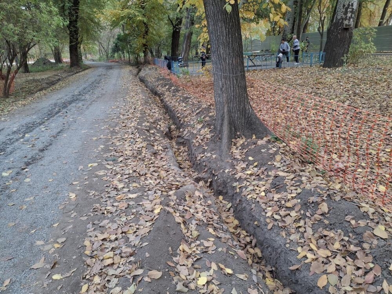 Алматинцы написали заявление в полицию из-за вырубки здоровых деревьев в роще Баума