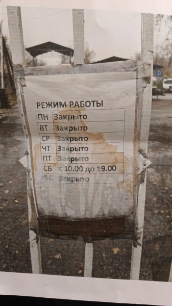 Что спасёт алматинский ипподром? Коневоды предлагают вернуть тотализатор