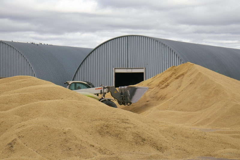 КТЖ зарабатывает на иностранных поездах, не выпуская казахстанские зерно и муку?
