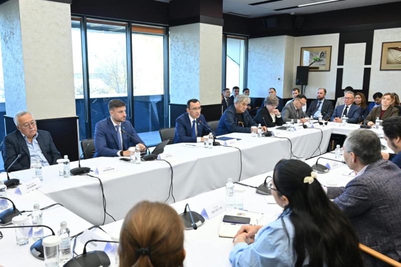 Маулен Ашимбаев обсудил с экспертами реформы, инициированные президентом страны