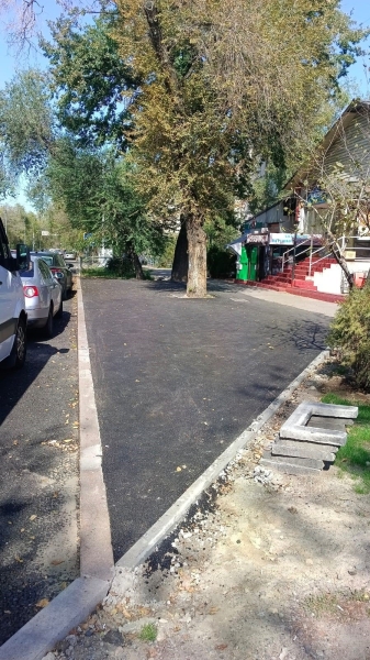 В Алматы годами губят саженцы тополей, а власти говорят, что всё хорошо