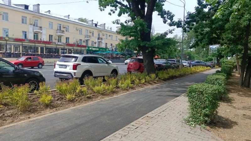 В Алматы годами губят саженцы тополей, а власти говорят, что всё хорошо