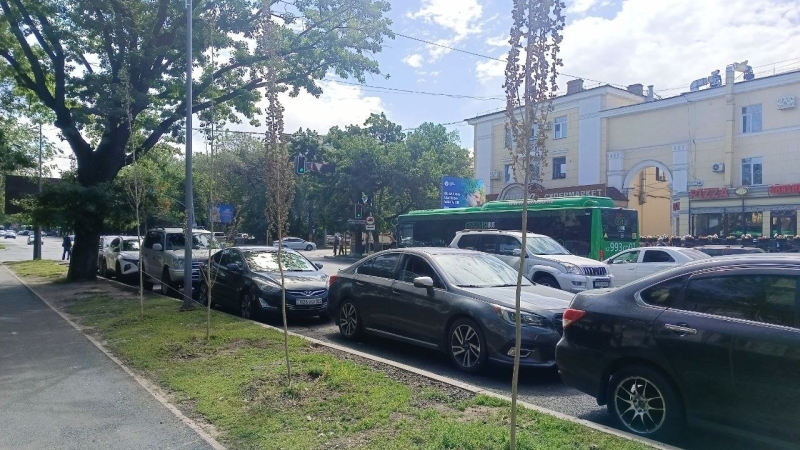В Алматы годами губят саженцы тополей, а власти говорят, что всё хорошо