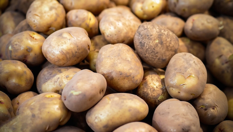 В Казахстане намерены запретить экспорт картофеля
Дополнено