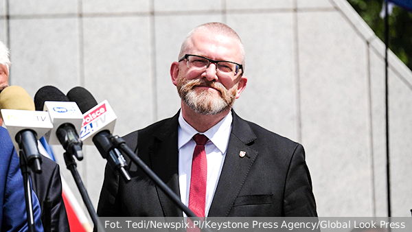 Как в Польше и Литве появились пророссийские настроения