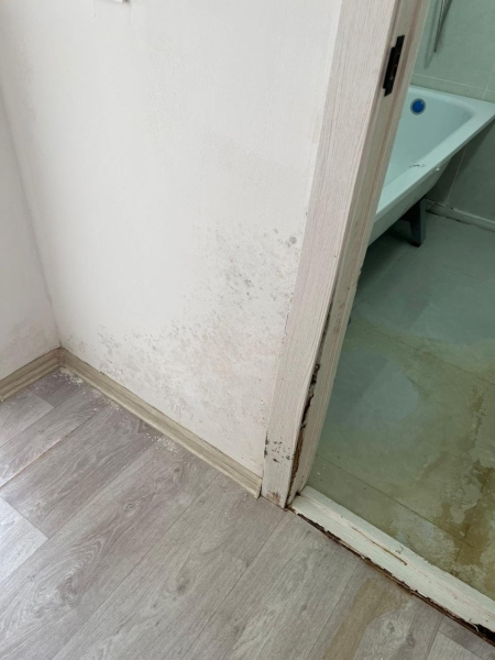 Козырёк рухнул на детей: чем опасны арендные дома в Туркестанской области