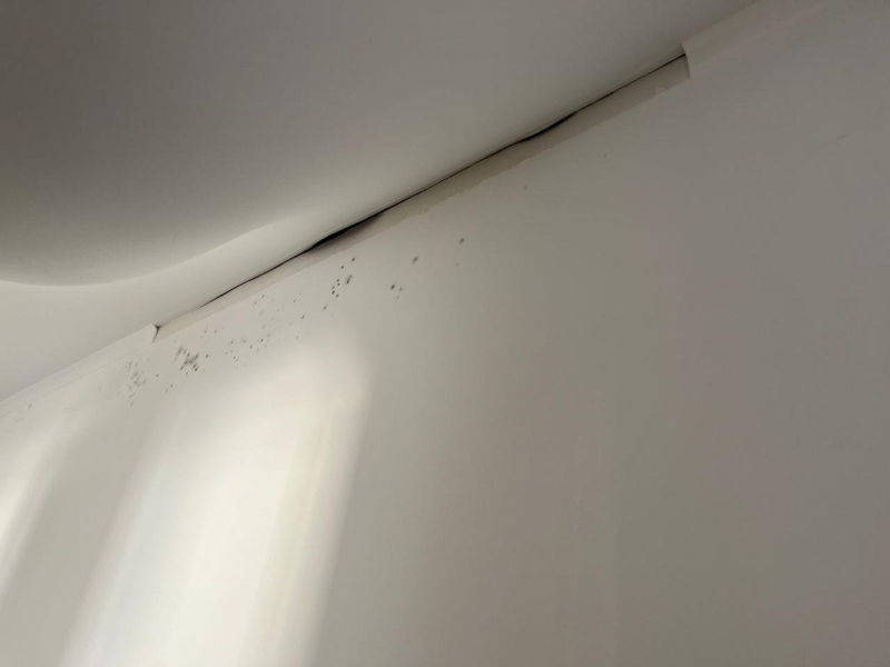 Козырёк рухнул на детей: чем опасны арендные дома в Туркестанской области