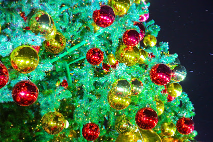 Лидеры разных стран поздравляют Президента с Новым годом