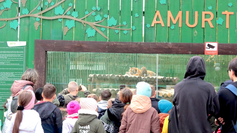 Планы Дархана Сатыбалды: что аким Алматы пообещал его жителям в ближайшем будущем