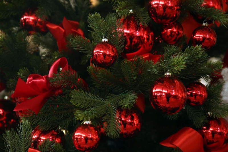 Рождественскую ель зажгли в Вифлееме