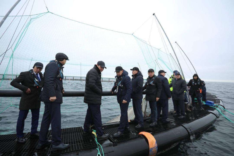В Мангистау реализуется первый в Центральной Азии проект морской аквакультуры