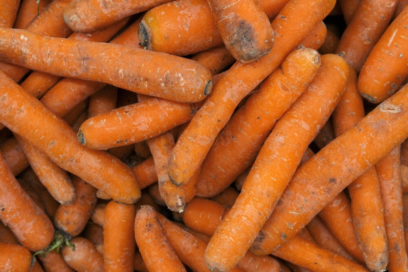 Запрет на вывоз моркови планирует ввести Казахстан