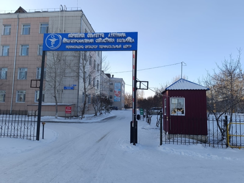 Женщина и ребёнок погибли в Кокшетау. Виновных защищает медицинская система?