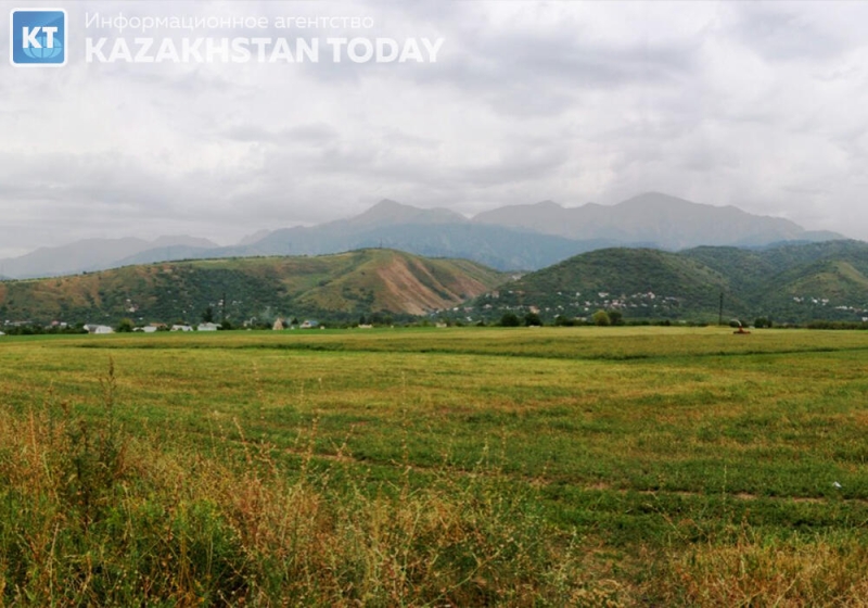 Дефицит пастбищ остается критическим, несмотря на возврат миллионов гектаров - сенатор